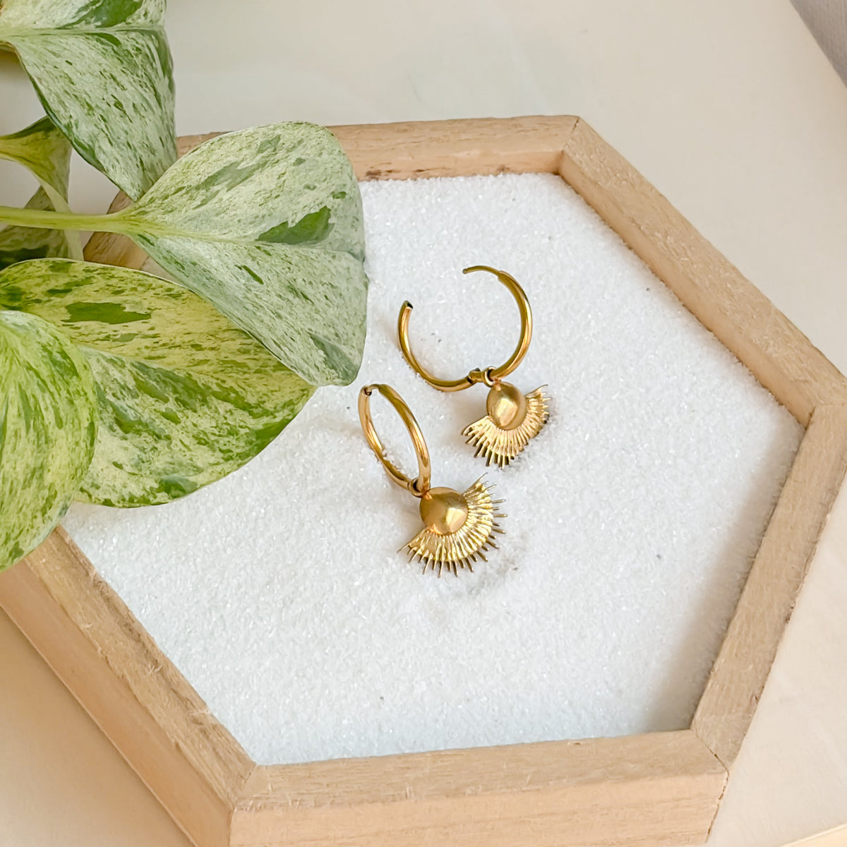 Boucles d’oreilles Midi dorées présentées avec une plante verte